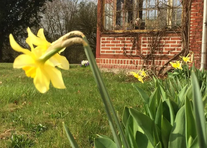 Gutshaus Alt-krassow شقة